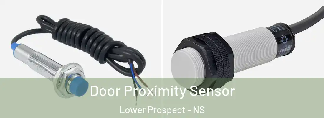 Door Proximity Sensor Lower Prospect - NS