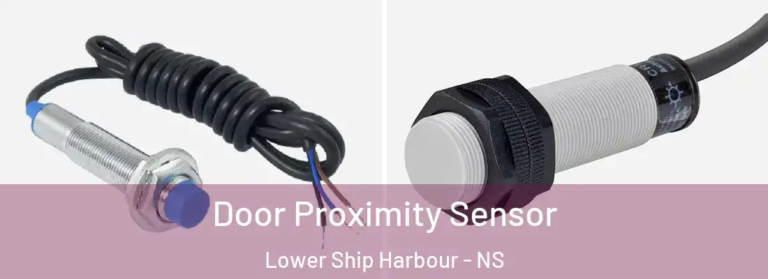 Door Proximity Sensor Lower Ship Harbour - NS