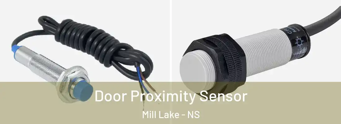 Door Proximity Sensor Mill Lake - NS