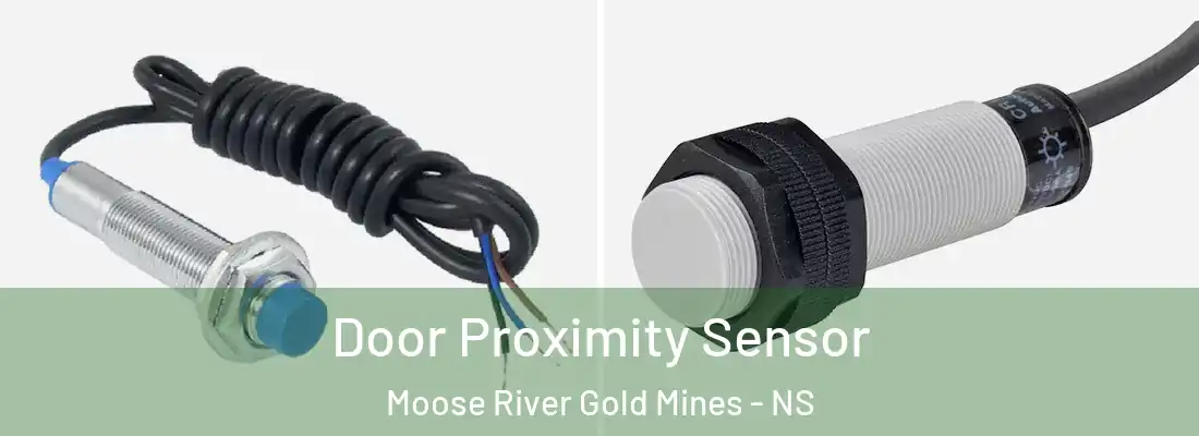 Door Proximity Sensor Moose River Gold Mines - NS