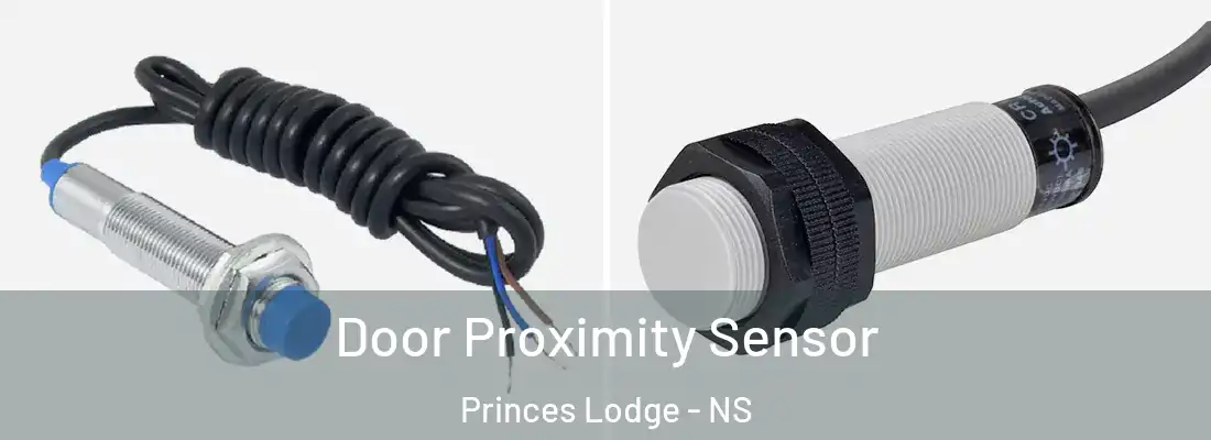 Door Proximity Sensor Princes Lodge - NS