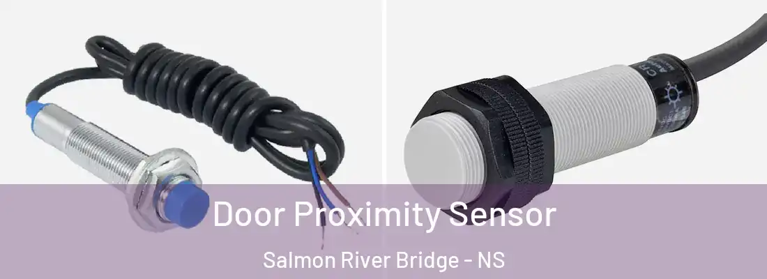 Door Proximity Sensor Salmon River Bridge - NS
