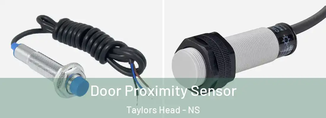 Door Proximity Sensor Taylors Head - NS
