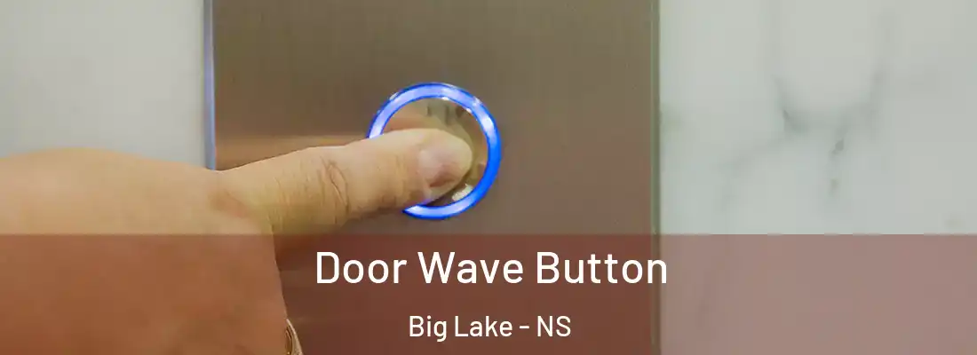 Door Wave Button Big Lake - NS