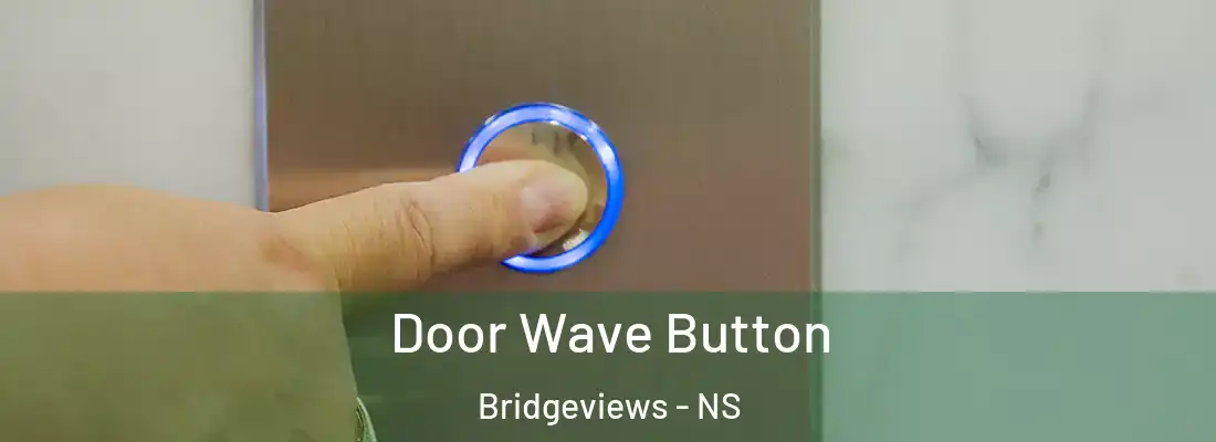 Door Wave Button Bridgeviews - NS