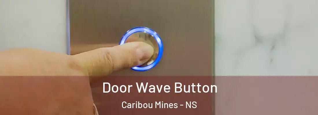 Door Wave Button Caribou Mines - NS