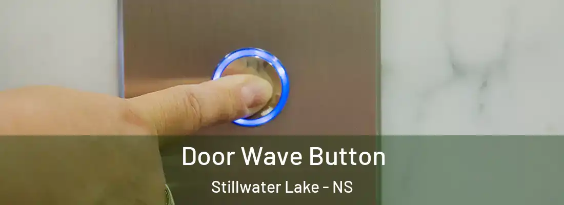 Door Wave Button Stillwater Lake - NS