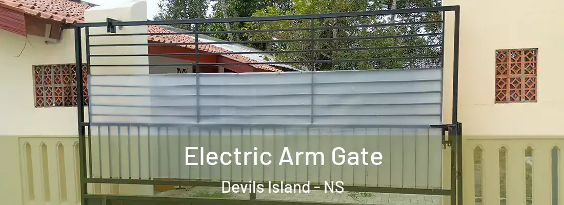 Electric Arm Gate Devils Island - NS