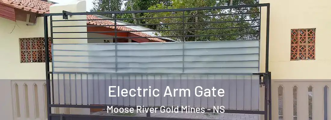 Electric Arm Gate Moose River Gold Mines - NS