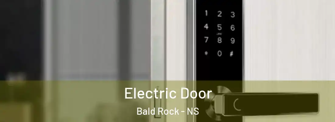  Electric Door Bald Rock - NS