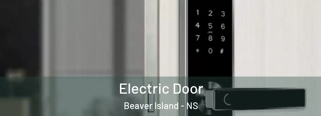 Electric Door Beaver Island - NS