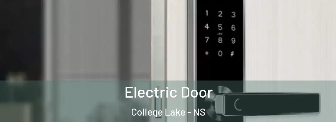 Electric Door College Lake - NS