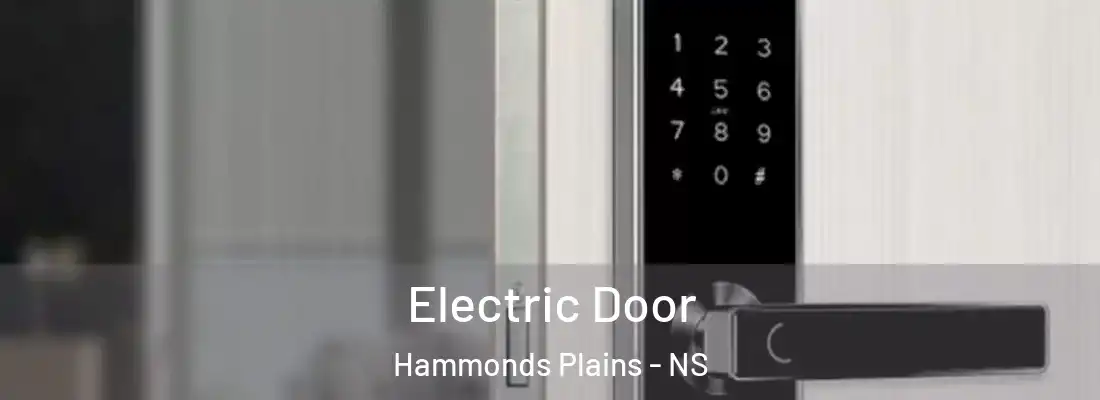  Electric Door Hammonds Plains - NS