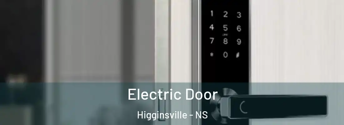 Electric Door Higginsville - NS