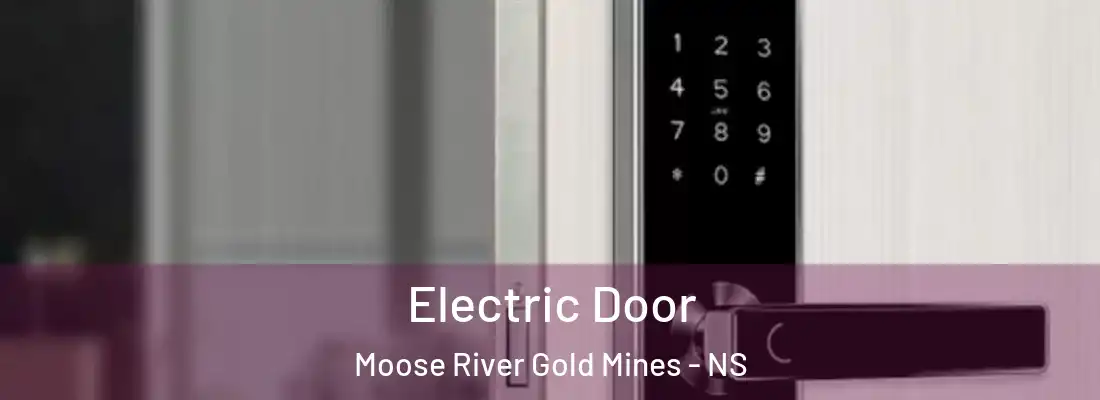  Electric Door Moose River Gold Mines - NS