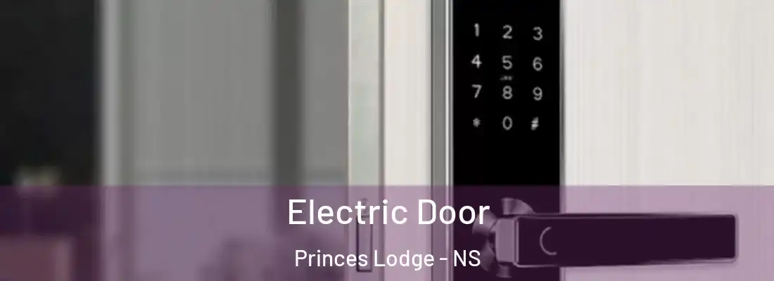 Electric Door Princes Lodge - NS