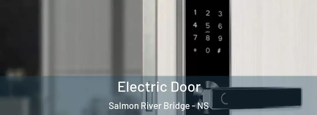  Electric Door Salmon River Bridge - NS