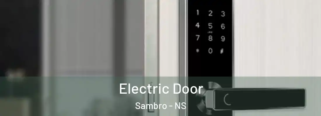 Electric Door Sambro - NS