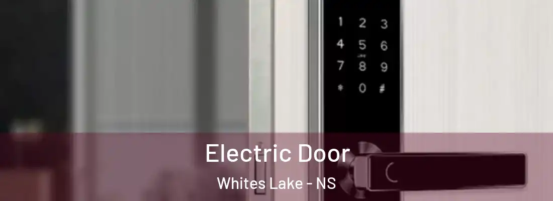Electric Door Whites Lake - NS