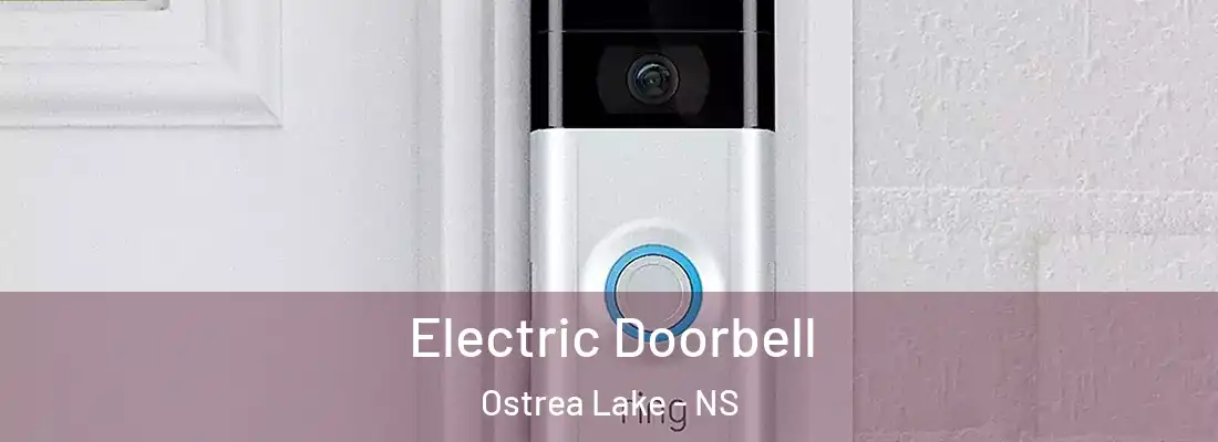 Electric Doorbell Ostrea Lake - NS