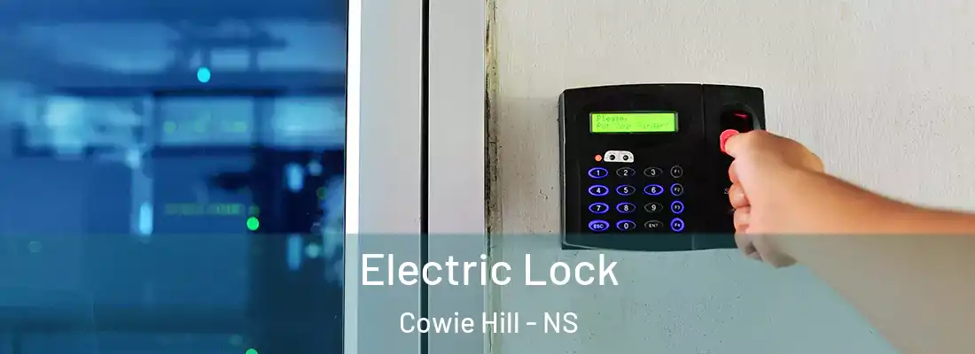 Electric Lock Cowie Hill - NS