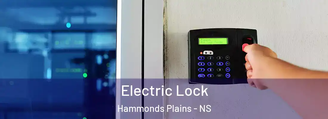 Electric Lock Hammonds Plains - NS
