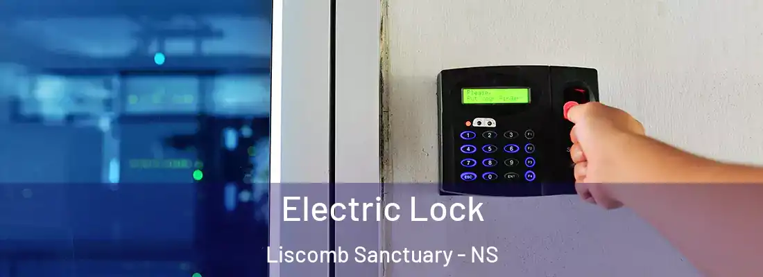  Electric Lock Liscomb Sanctuary - NS