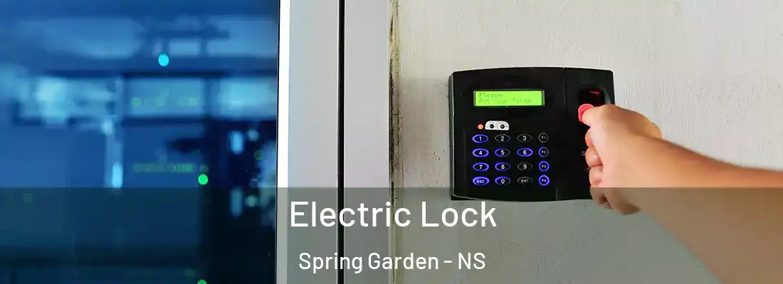  Electric Lock Spring Garden - NS