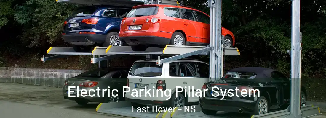 Electric Parking Pillar System East Dover - NS
