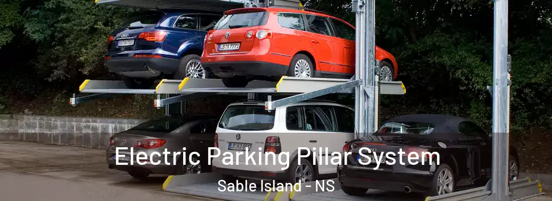 Electric Parking Pillar System Sable Island - NS