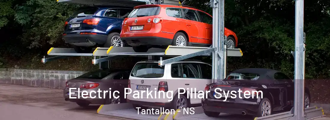 Electric Parking Pillar System Tantallon - NS