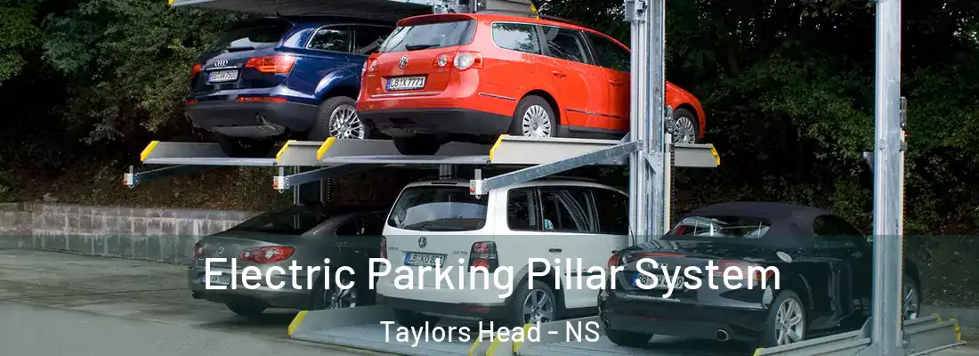 Electric Parking Pillar System Taylors Head - NS