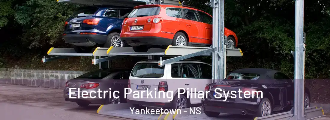 Electric Parking Pillar System Yankeetown - NS