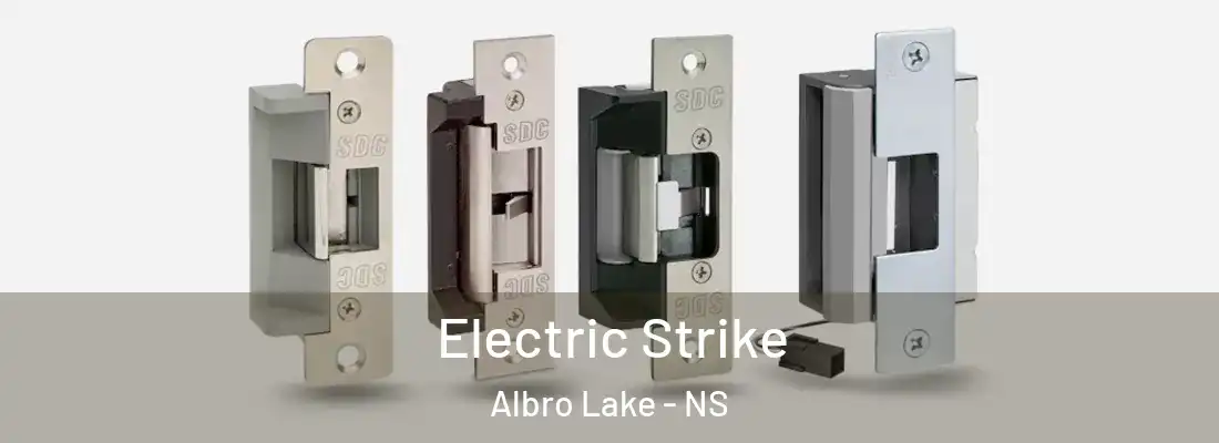 Electric Strike Albro Lake - NS