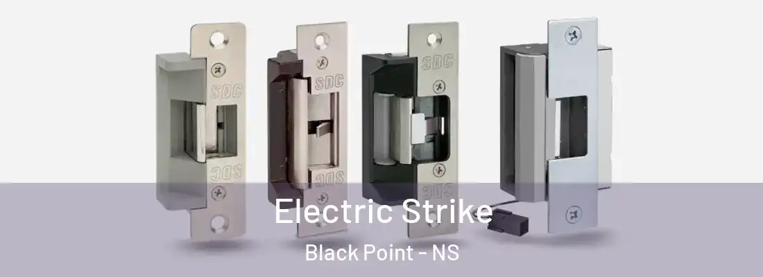  Electric Strike Black Point - NS