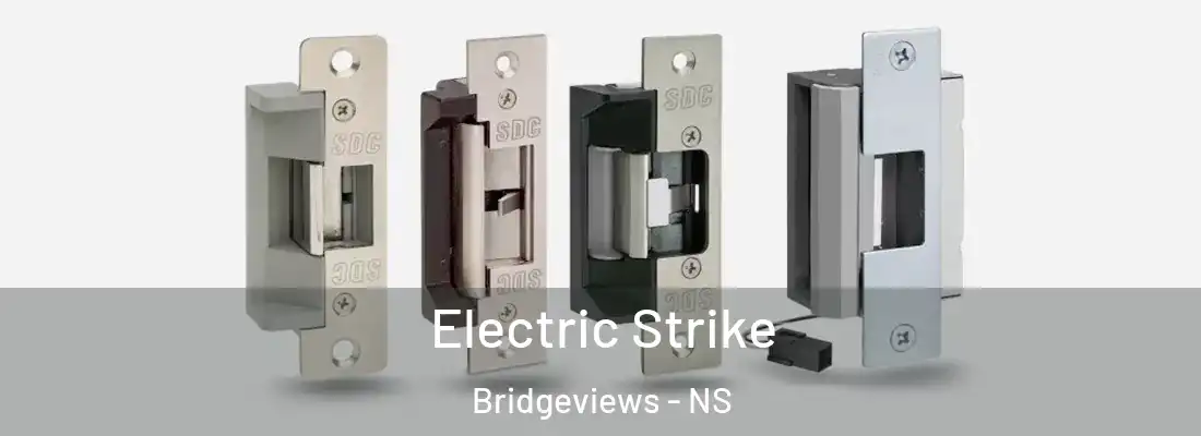 Electric Strike Bridgeviews - NS