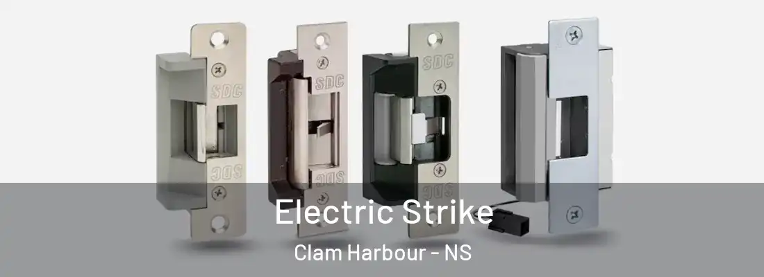  Electric Strike Clam Harbour - NS