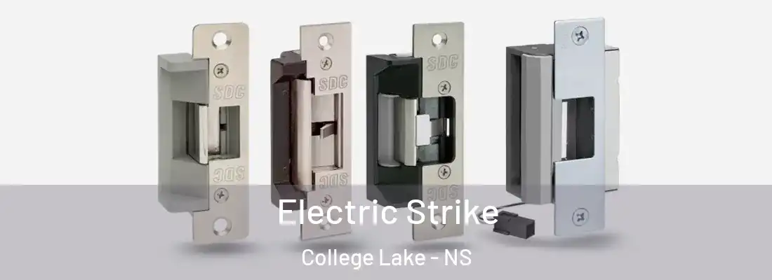 Electric Strike College Lake - NS