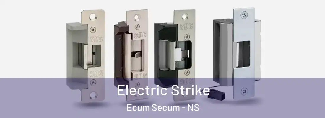  Electric Strike Ecum Secum - NS