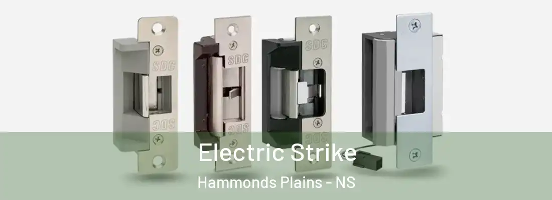  Electric Strike Hammonds Plains - NS