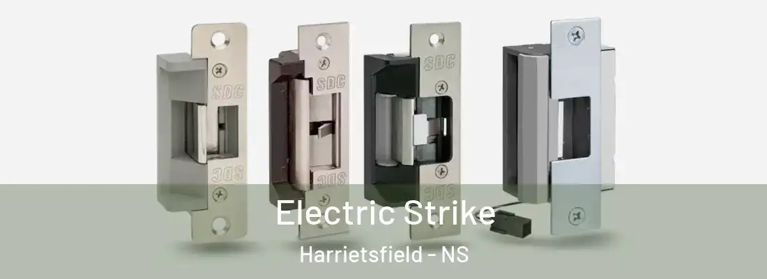 Electric Strike Harrietsfield - NS