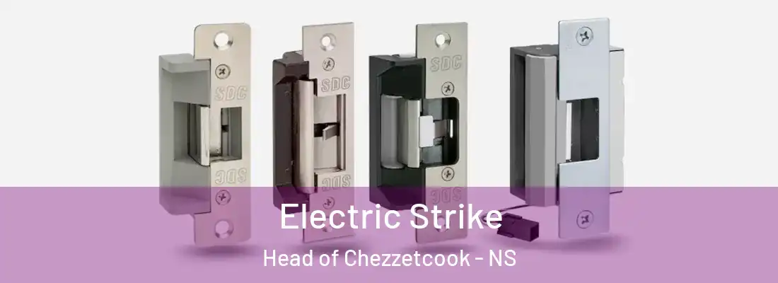  Electric Strike Head of Chezzetcook - NS