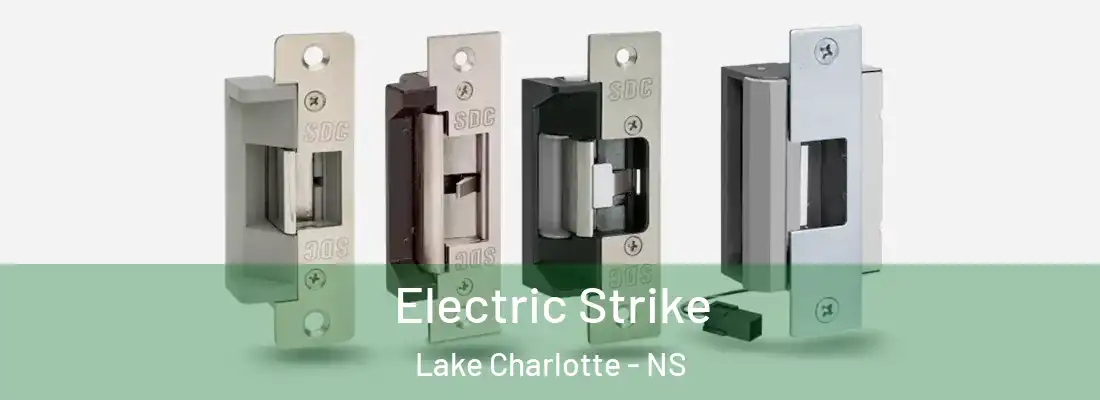 Electric Strike Lake Charlotte - NS