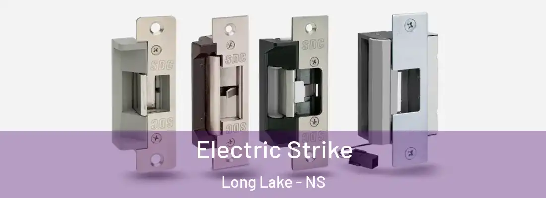  Electric Strike Long Lake - NS