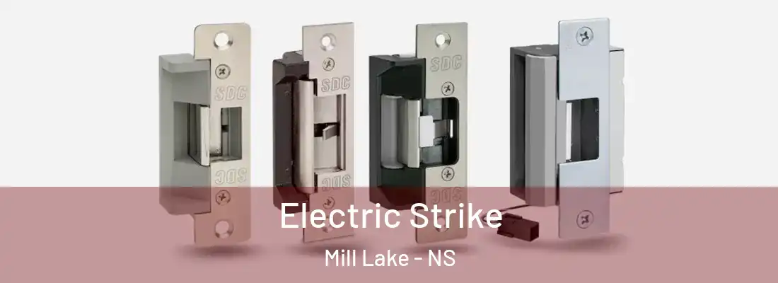 Electric Strike Mill Lake - NS