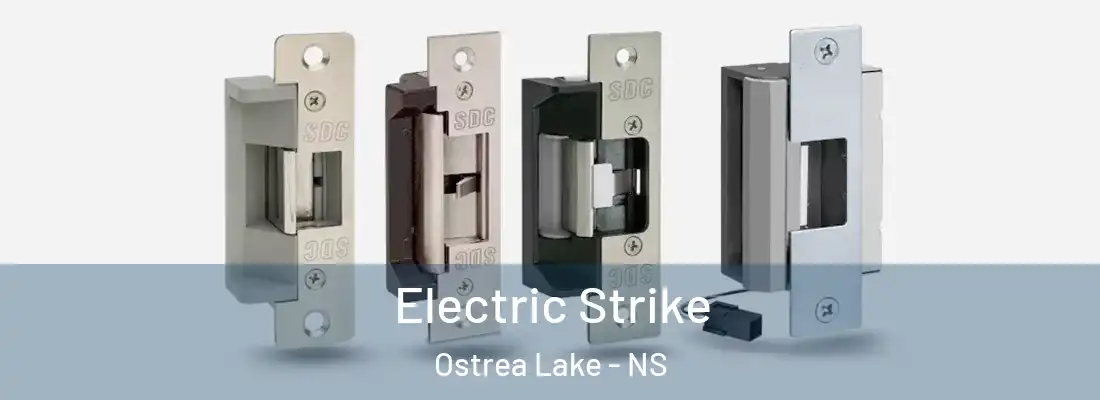 Electric Strike Ostrea Lake - NS