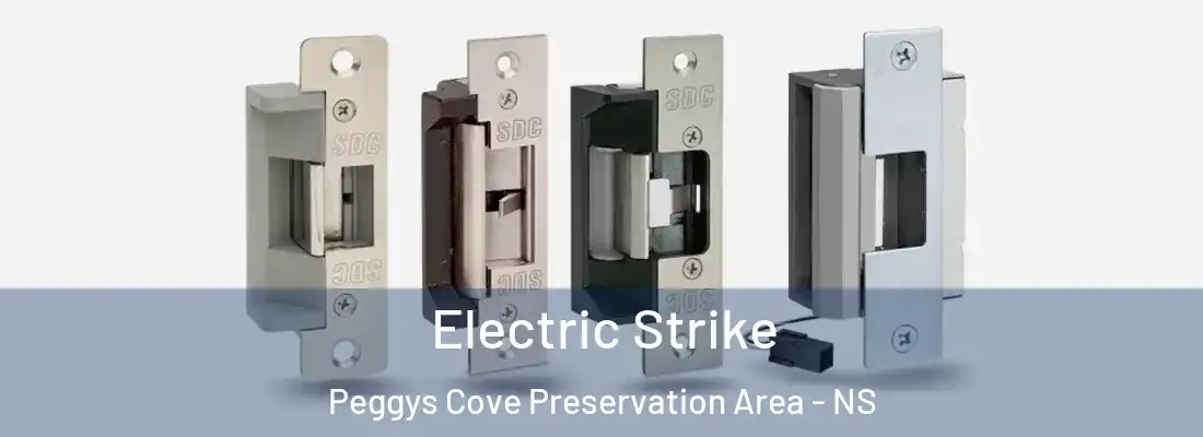 Electric Strike Peggys Cove Preservation Area - NS