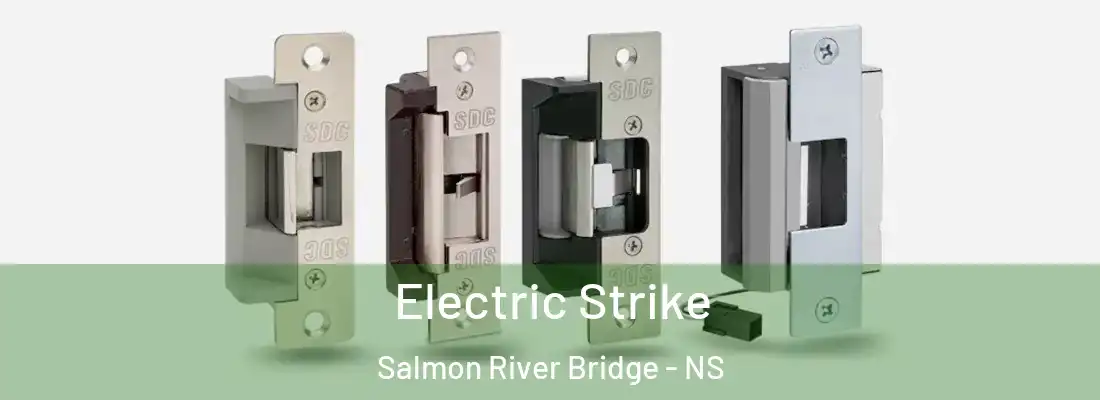 Electric Strike Salmon River Bridge - NS