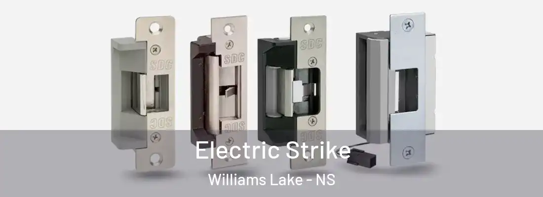 Electric Strike Williams Lake - NS