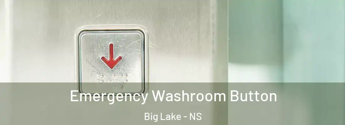 Emergency Washroom Button Big Lake - NS